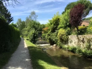 Image représentant la beauté naturelle de la Vallée de la Chevreuse : forêts verdoyantes, rivières scintillantes et paysages vallonnés.